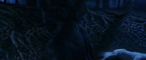 PF-Potterish_09230.jpg