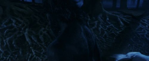 PF-Potterish_09231.jpg