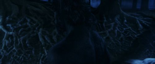 PF-Potterish_09232.jpg
