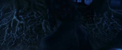 Click to view full size image
==============
PF-Potterish_09233.jpg PF-Potterish_09233.jpg