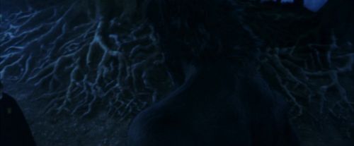 PF-Potterish_09234.jpg