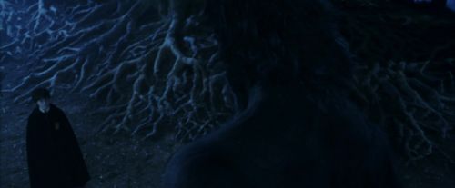 PF-Potterish_09235.jpg