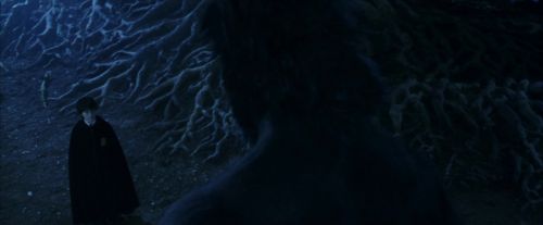 PF-Potterish_09236.jpg