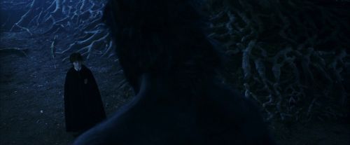 PF-Potterish_09237.jpg