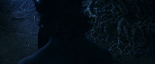 PF-Potterish_09238.jpg