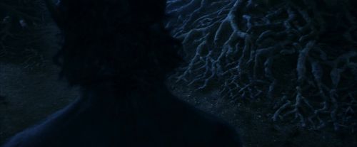PF-Potterish_09239.jpg