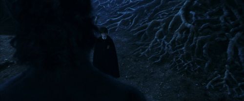 Click to view full size image
==============
PF-Potterish_09240.jpg PF-Potterish_09240.jpg