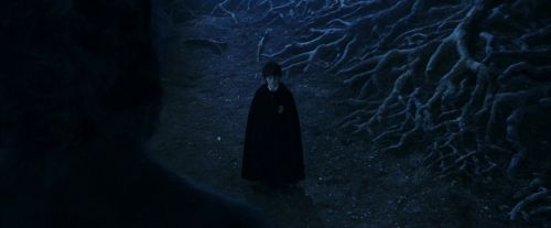 PF-Potterish_09241.jpg