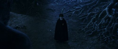 PF-Potterish_09243.jpg