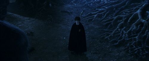 PF-Potterish_09244.jpg