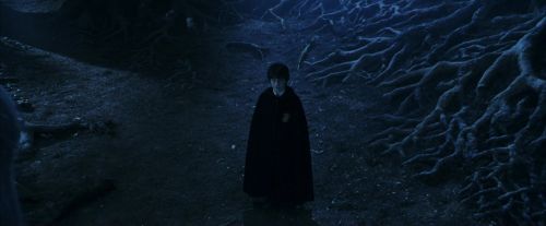 PF-Potterish_09245.jpg