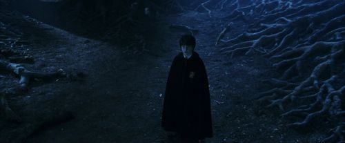 Click to view full size image
==============
PF-Potterish_09247.jpg PF-Potterish_09247.jpg