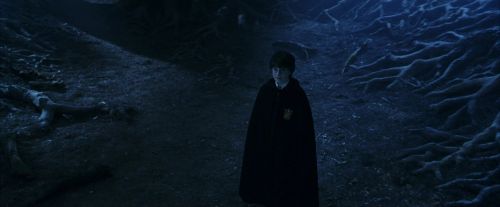 PF-Potterish_09248.jpg