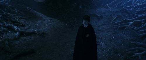 Click to view full size image
==============
PF-Potterish_09249.jpg PF-Potterish_09249.jpg