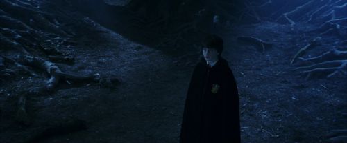 Click to view full size image
==============
PF-Potterish_09250.jpg PF-Potterish_09250.jpg