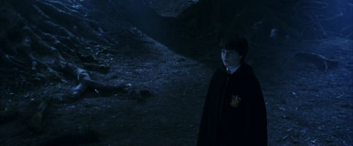 PF-Potterish_09252.jpg
