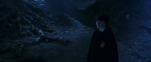 PF-Potterish_09253.jpg