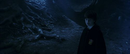 Click to view full size image
==============
PF-Potterish_09254.jpg PF-Potterish_09254.jpg