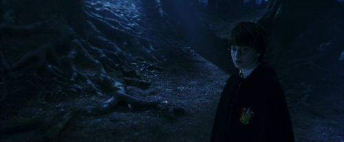 PF-Potterish_09255.jpg