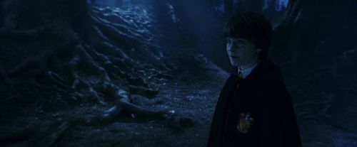 Click to view full size image
==============
PF-Potterish_09256.jpg PF-Potterish_09256.jpg