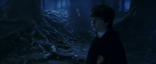 PF-Potterish_09257.jpg