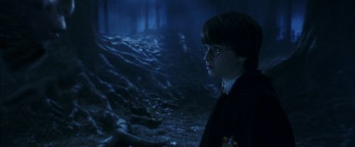 PF-Potterish_09258.jpg