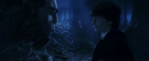 PF-Potterish_09262.jpg