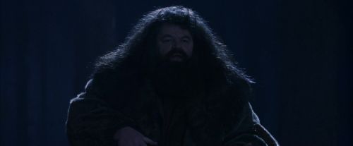 PF-Potterish_09274.jpg