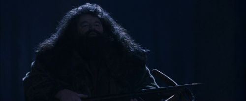 PF-Potterish_09277.jpg