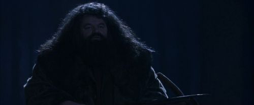 PF-Potterish_09278.jpg