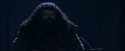 Click to view full size image
==============
PF-Potterish_09280.jpg PF-Potterish_09280.jpg