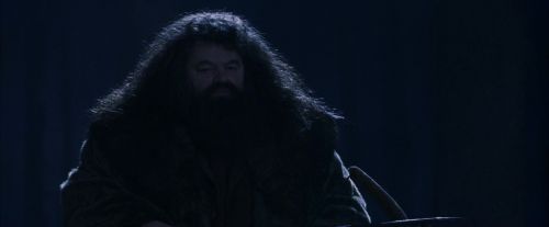 PF-Potterish_09281.jpg