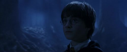 PF-Potterish_09284.jpg