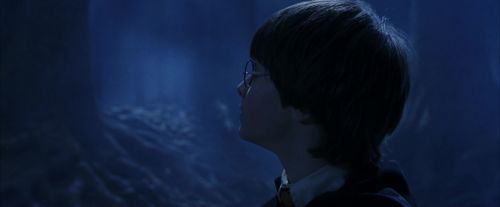 PF-Potterish_09287.jpg
