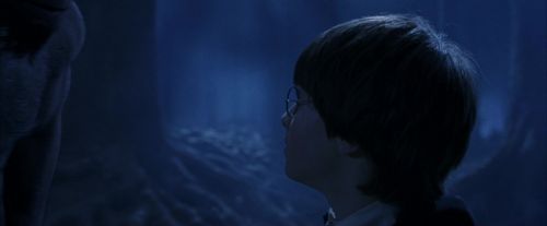 PF-Potterish_09288.jpg