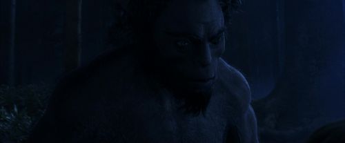 PF-Potterish_09291.jpg