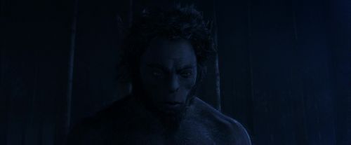 PF-Potterish_09295.jpg