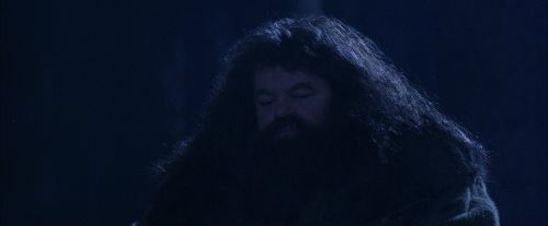 PF-Potterish_09302.jpg
