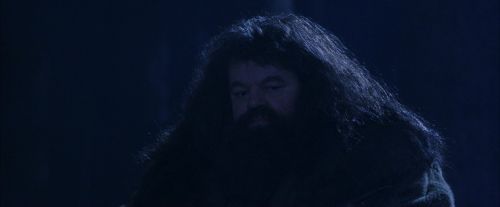 PF-Potterish_09303.jpg