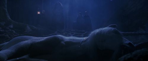 PF-Potterish_09306.jpg