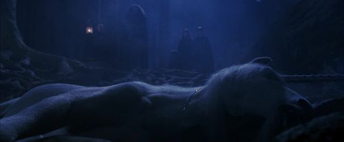 PF-Potterish_09307.jpg