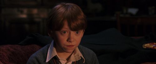 PF-Potterish_09354.jpg