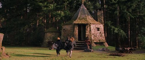 PF-Potterish_09463.jpg