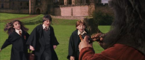 PF-Potterish_09466.jpg