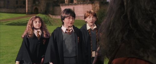 PF-Potterish_09468.jpg