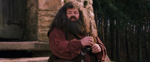 PF-Potterish_09471.jpg