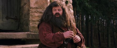 PF-Potterish_09472.jpg