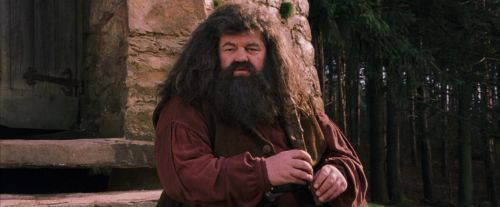 Click to view full size image
==============
PF-Potterish_09473.jpg PF-Potterish_09473.jpg