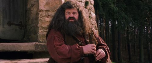 PF-Potterish_09474.jpg