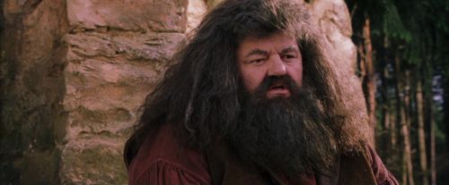 PF-Potterish_09483.jpg
